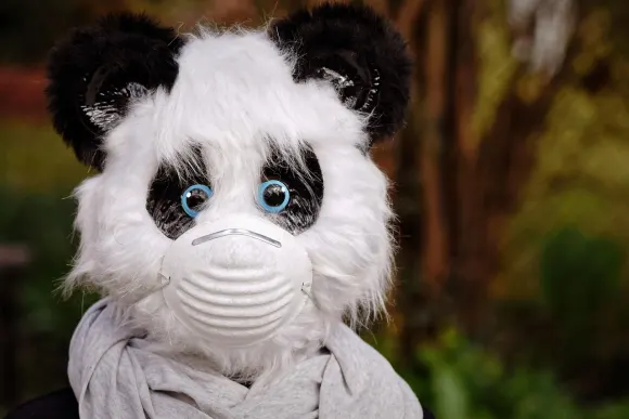 BetOriginal Kasino Podrška